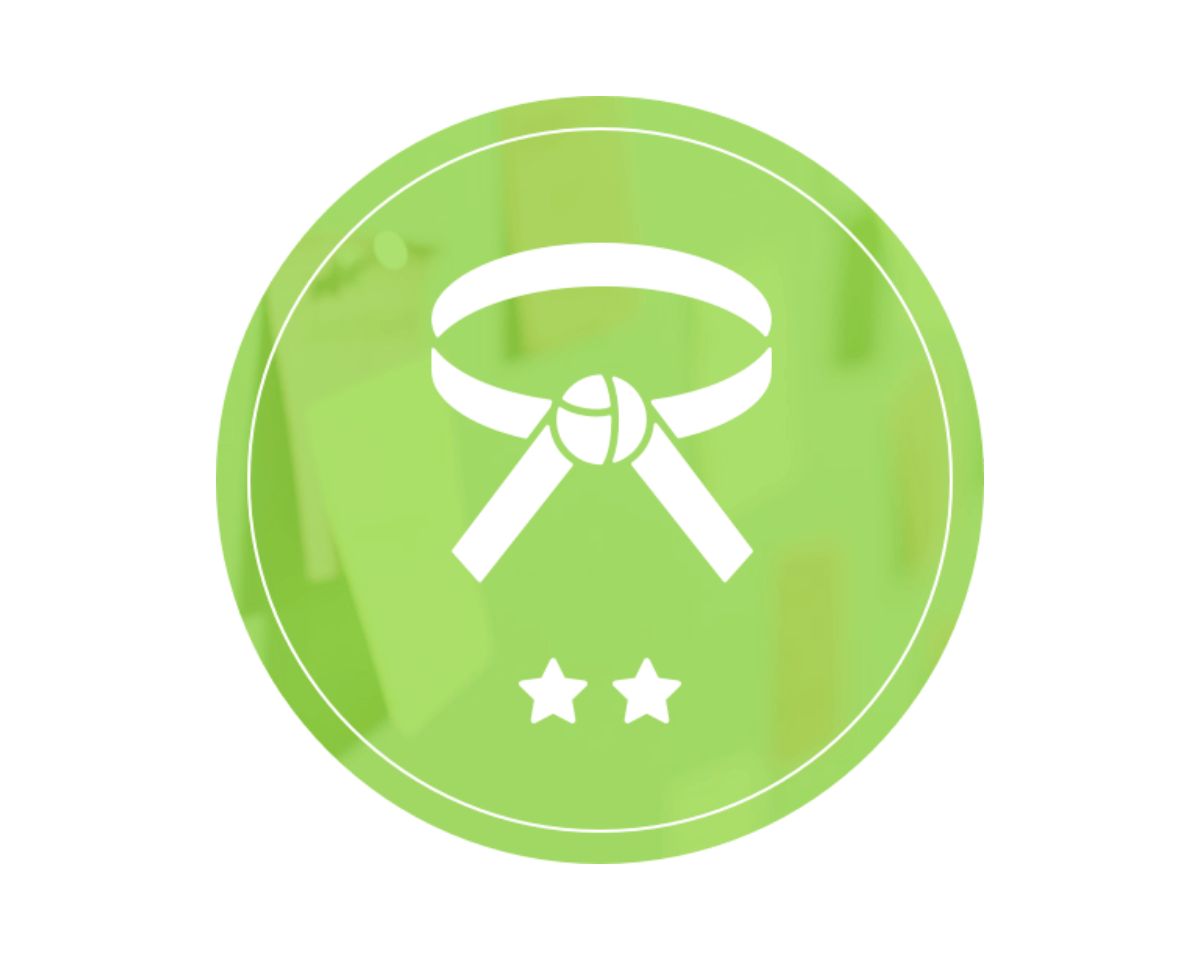 Lean Six Sigma Green Belt (certifiante)