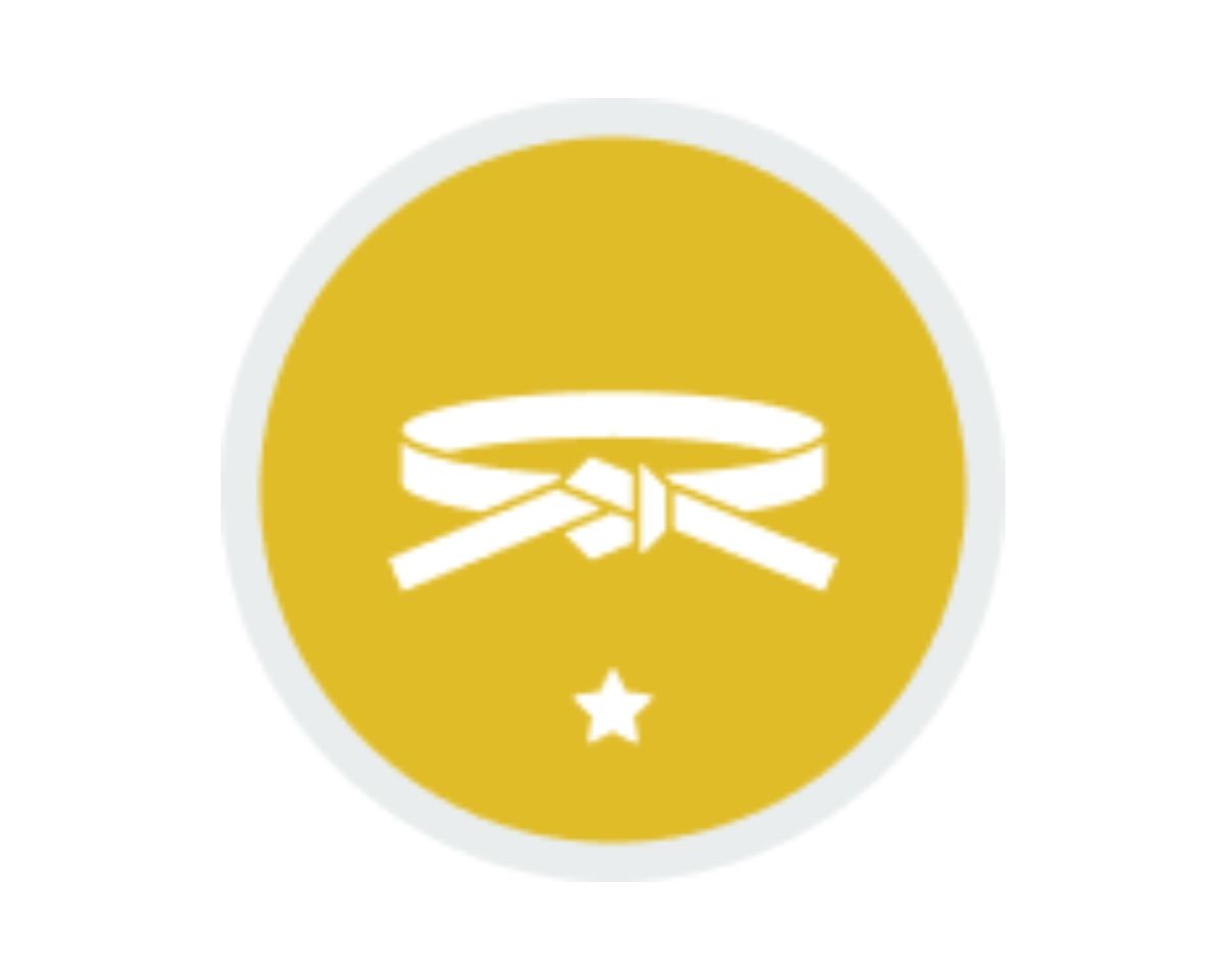 Lean Six Sigma Yellow Belt (certifiante)