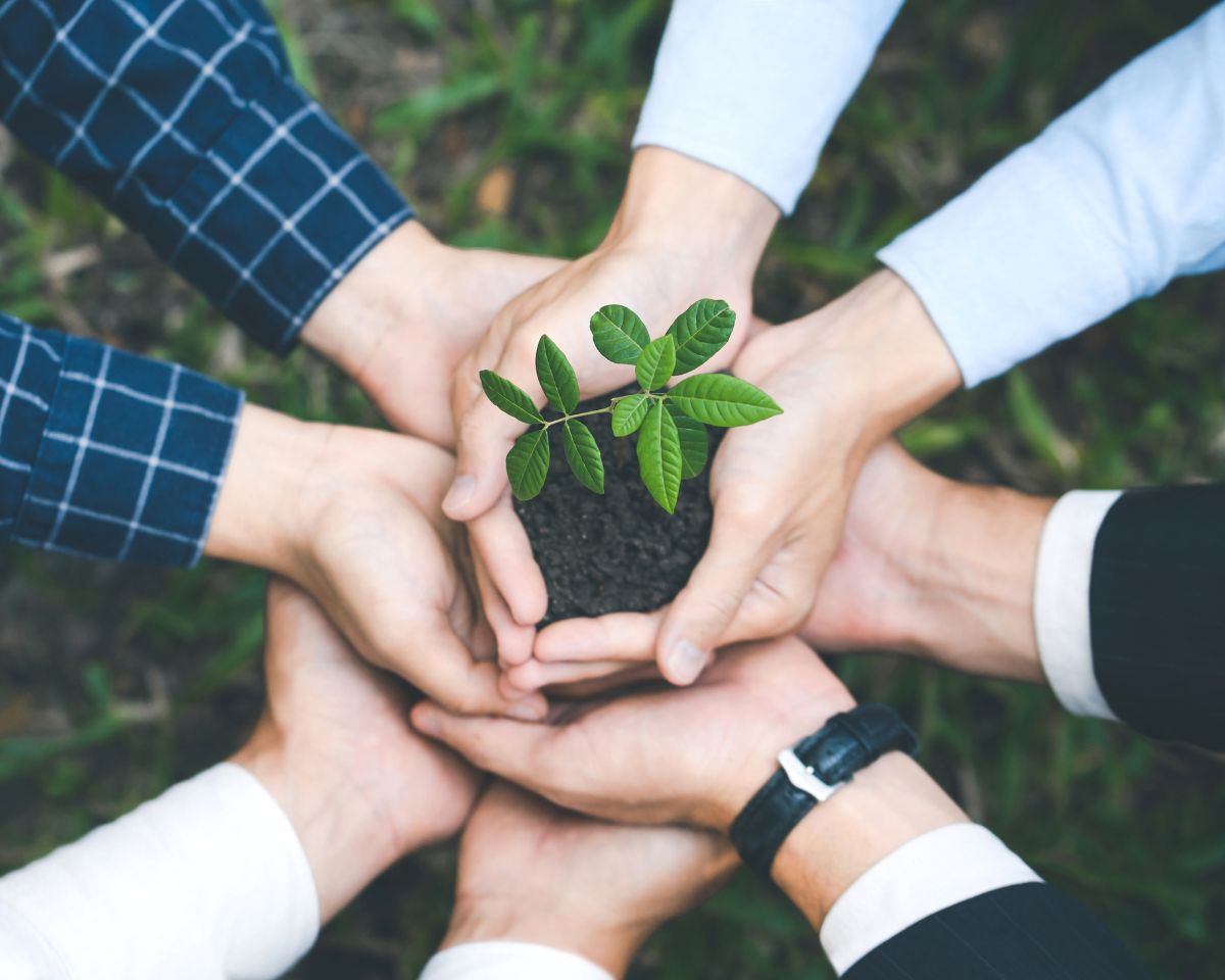 La communication environnementale