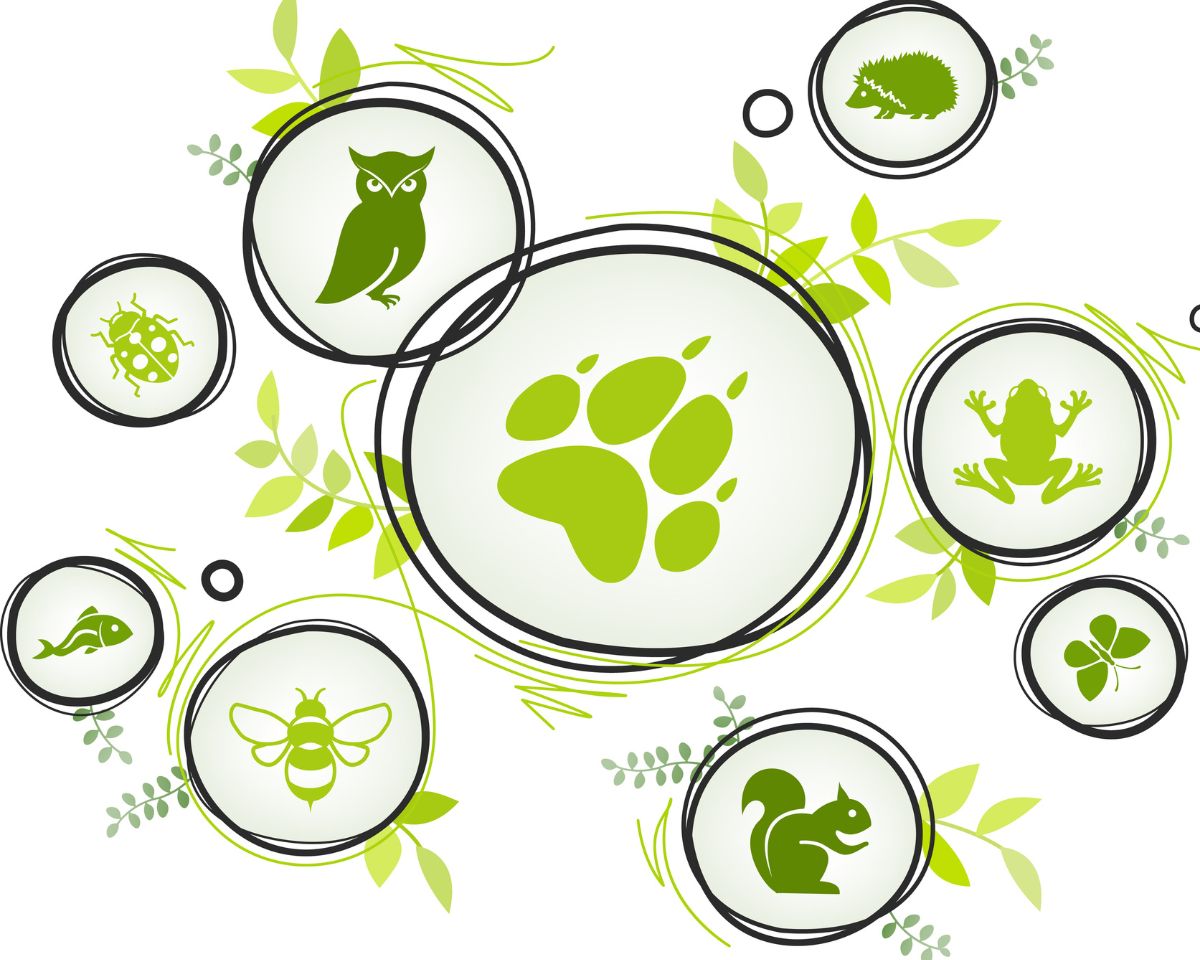 La biodiversité au cœur de tout projet